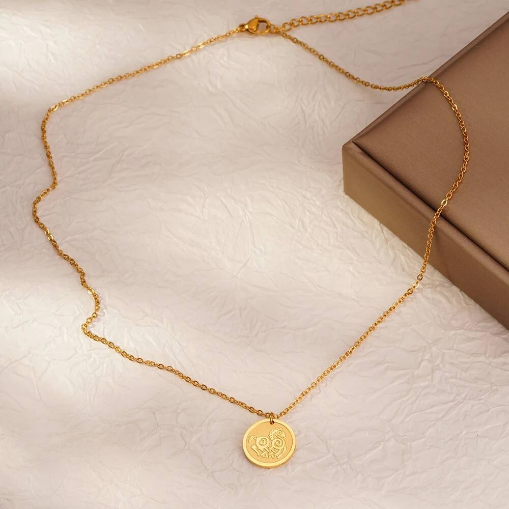 Collier pendentif en acier ino - Coin Necklace Delicate avis et prix